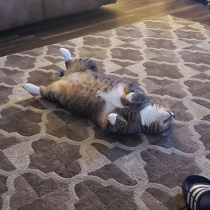 Meet your Posher, Tracy